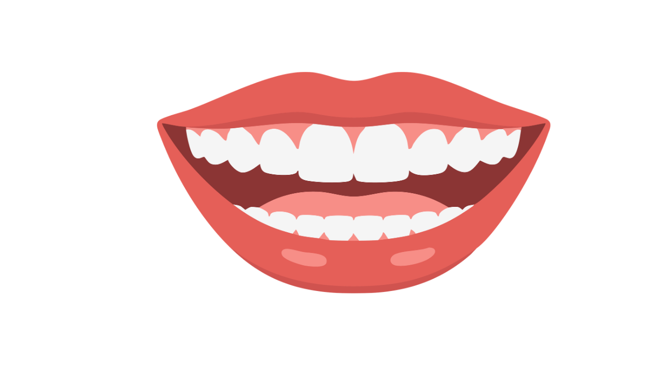 Teeth
