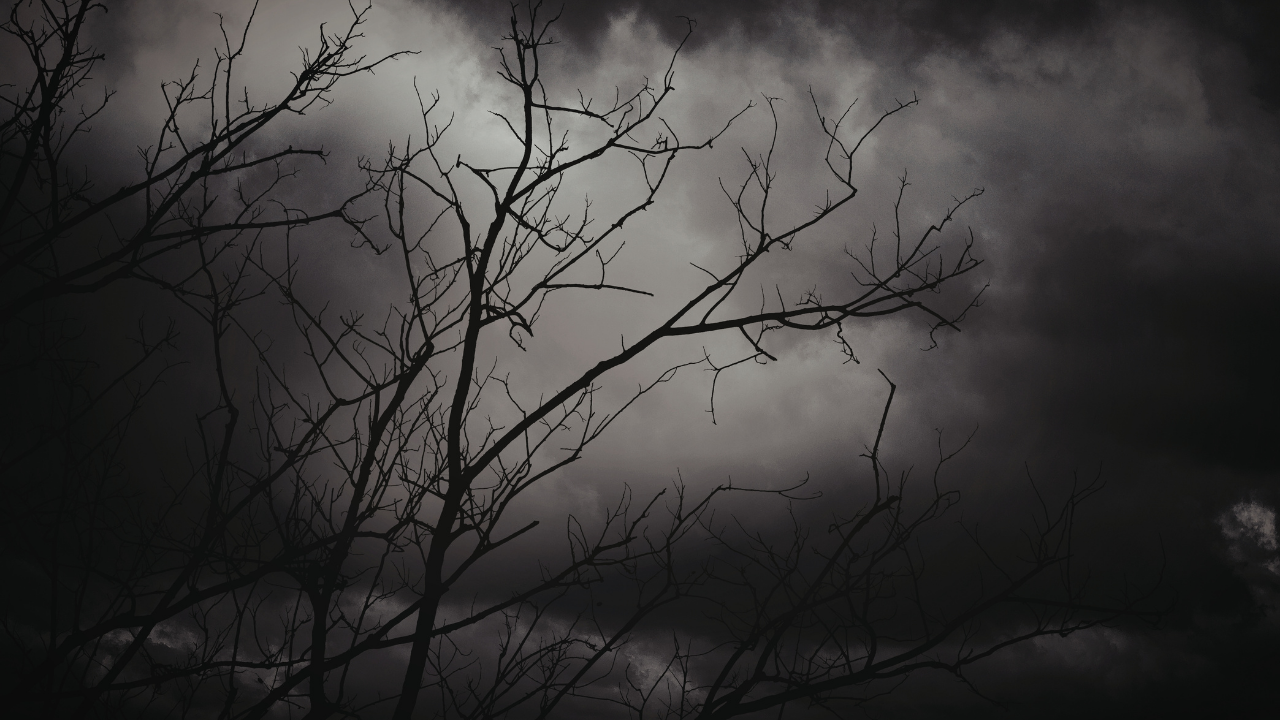 Dark