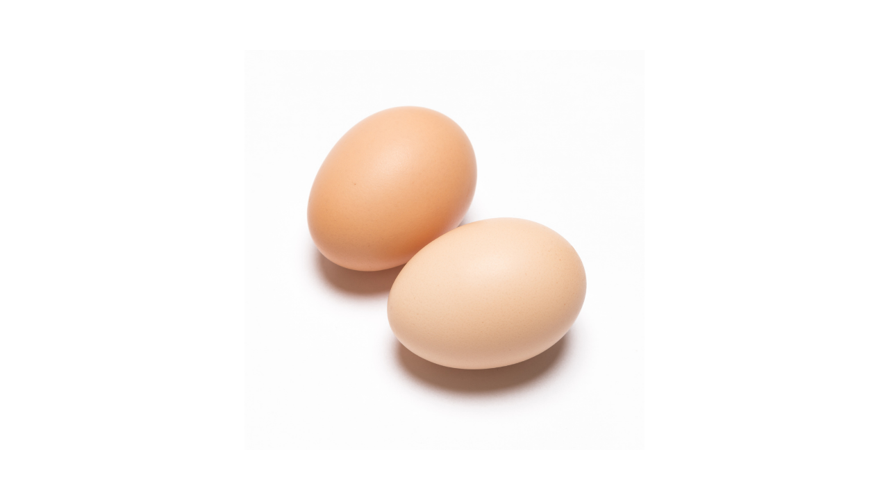 Egg